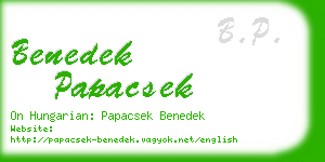 benedek papacsek business card